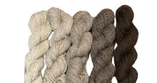Load image into Gallery viewer, Mini Skein Set Naturals